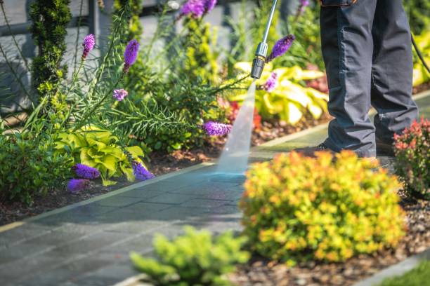 Best Animal Enclosure Cleaning  in Iceville, AL