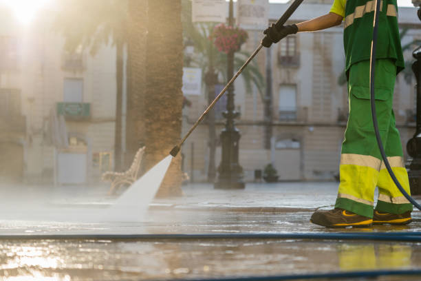 Professional Pressure Washing in Aliceville, AL
